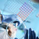 A view under a workstation shows a researcher placing a liquid sample on a dish, with more samples in a rack next to it.