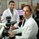 Patel and Epstein: 25 percent of men diagnosed with low-volume, Gleason 3 + 4 disease on biopsy turn out to have “adverse surgical pathology.”