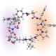 Rapadocin molecule