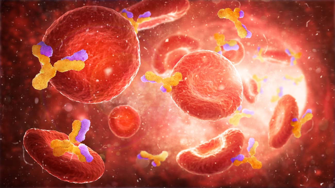 This illustration depicts antibodies in blood. 