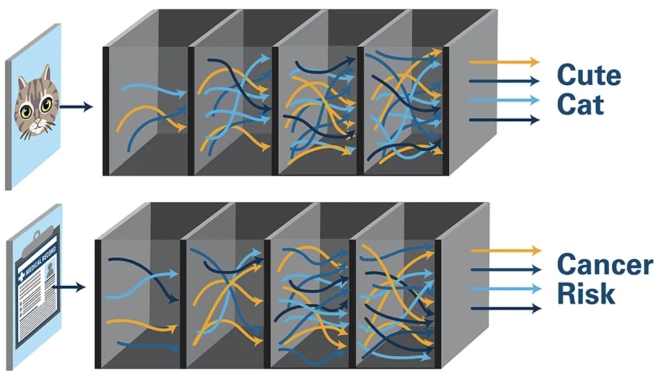 An AI model is trained on a large dataset and then validated on another large dataset of the same structure. When used in practice, the AI applies what it has learned to analyze never-before-seen data to make a prediction. That decision process happens inside what is sometimes called a 