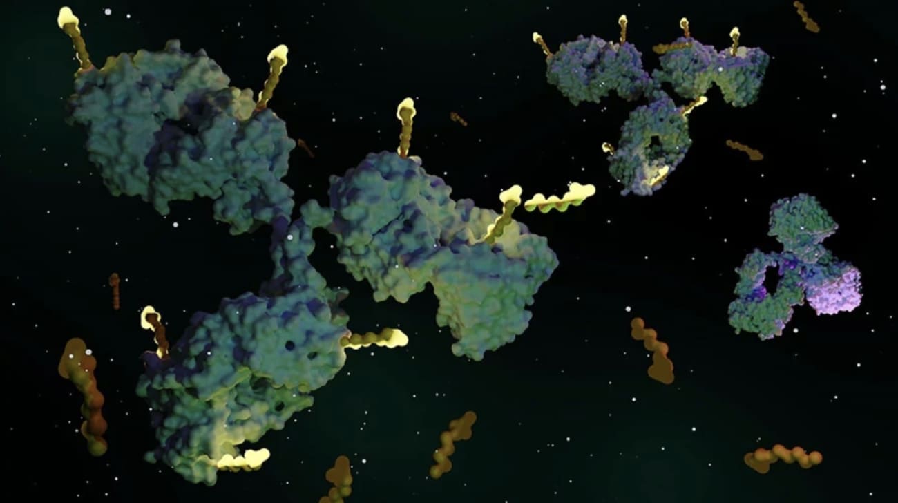 Antibody drug conjugates 3D rendering width=“600