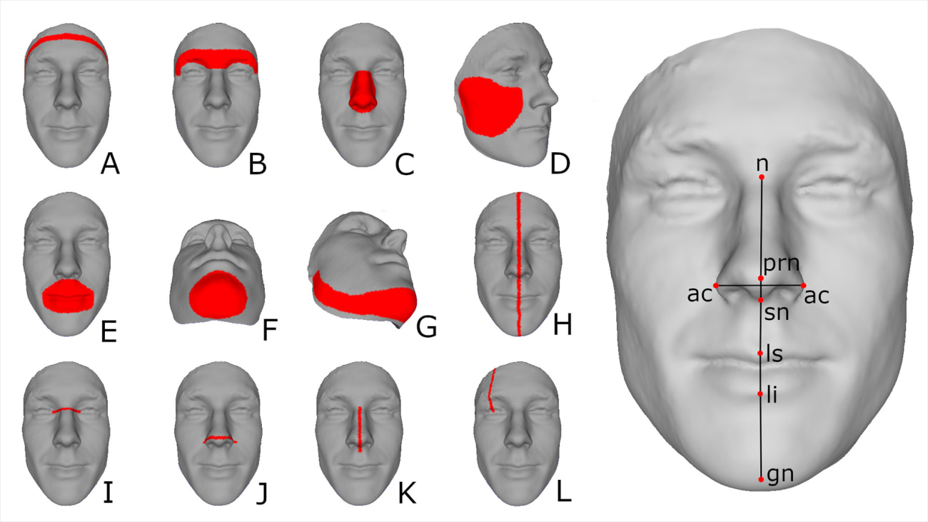 fig1-measurements