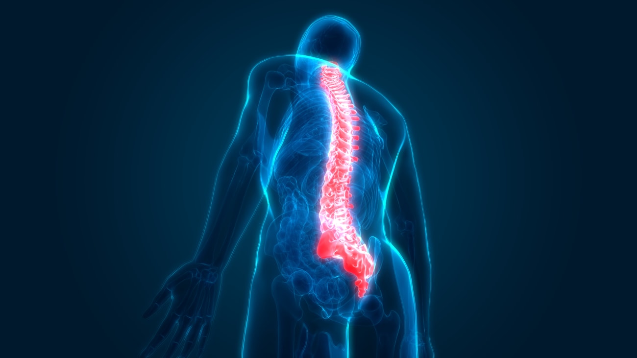 An artist rendering shows the outline of a person with their bone structure illuminated blue and their spine red.