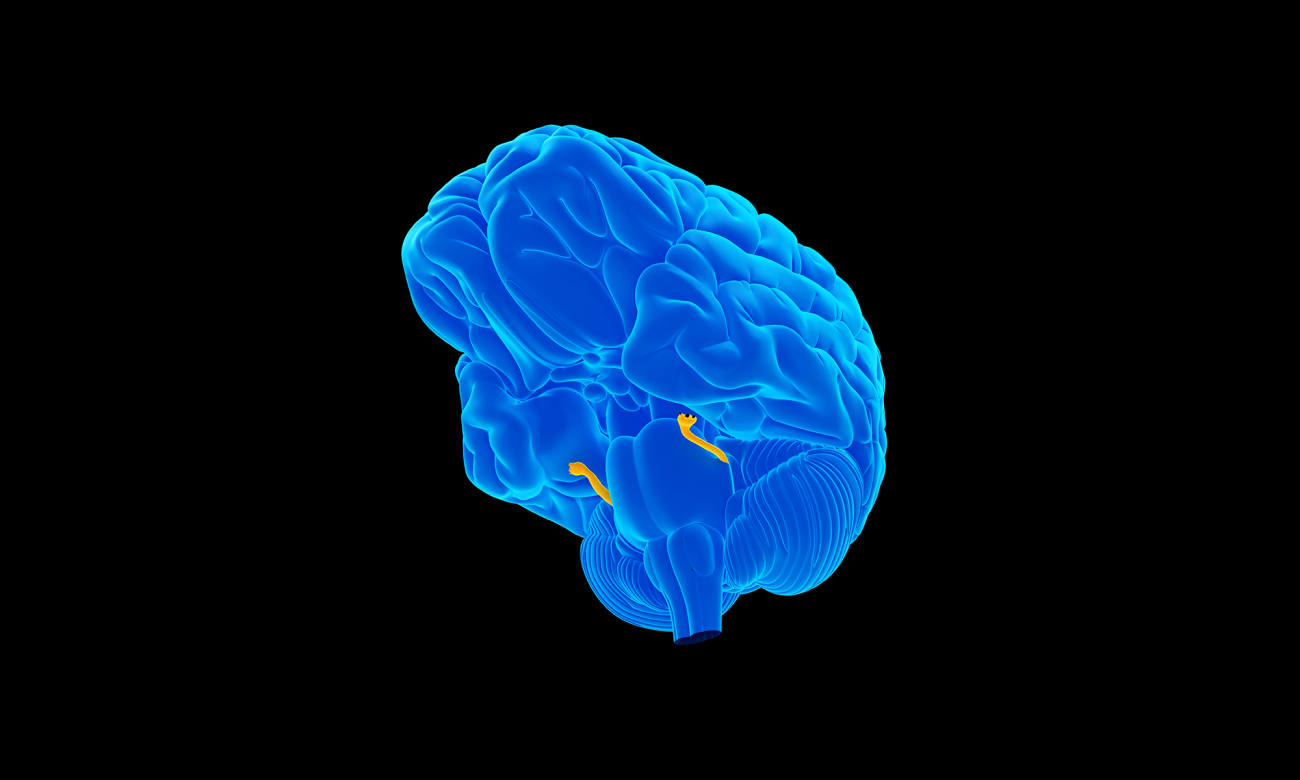 A medical illustration shows the brain in blue and the trigeminal nerve highlight in orange on a black background.