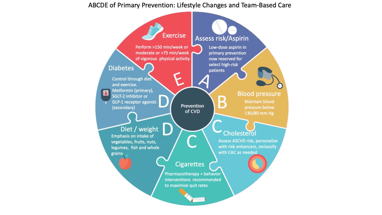 2019 Updated Cardiovascular Disease Prevention Guidelines