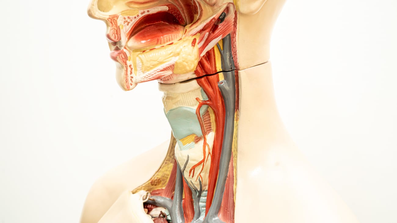 Single-Port Robotic Surgery Now Helps Head and Neck Surgeons Treat Hard ...