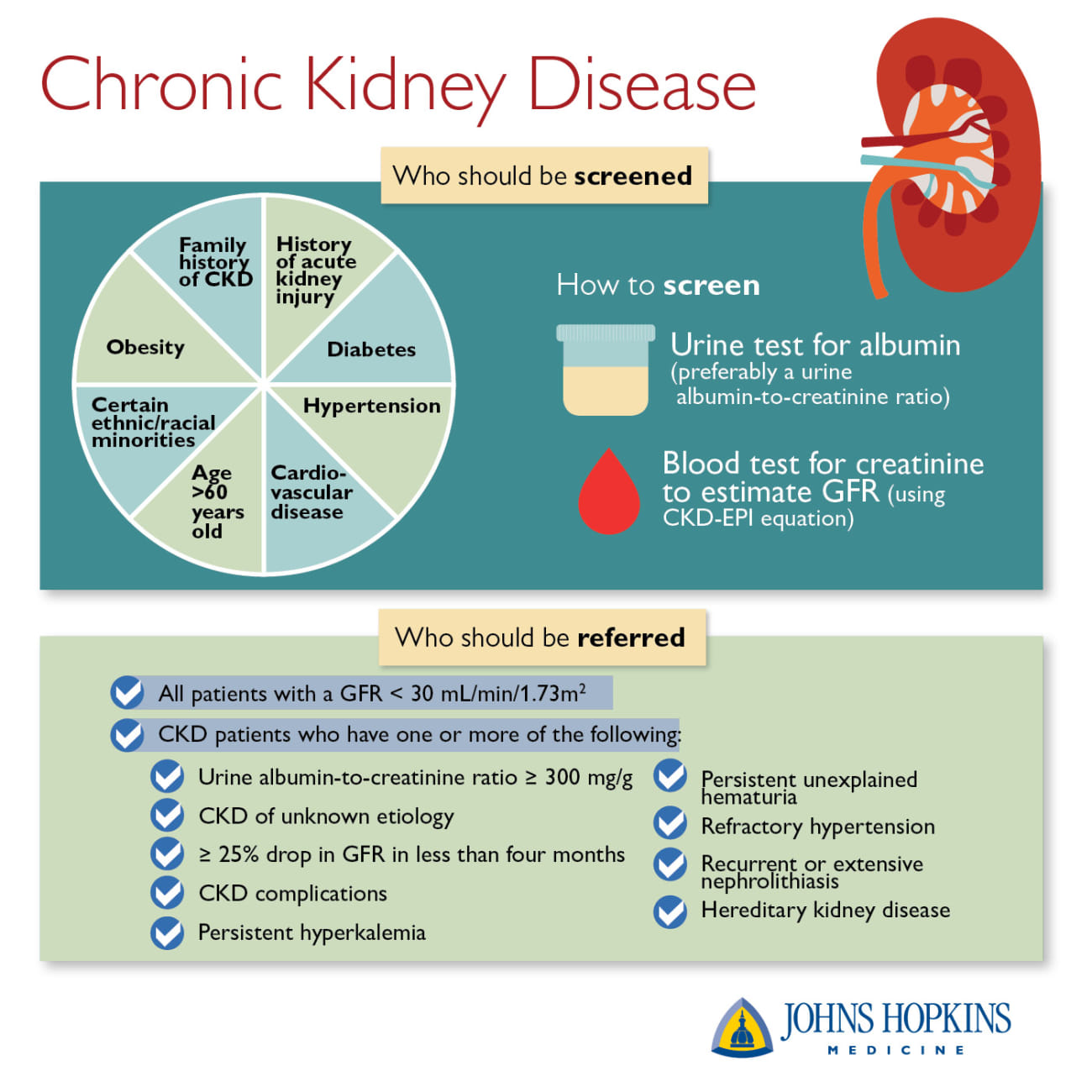 Pathway Chronic Kidney Disease pathway-chronic-kidney-disease