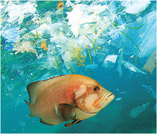 Richard Carey/stock.adobe.com