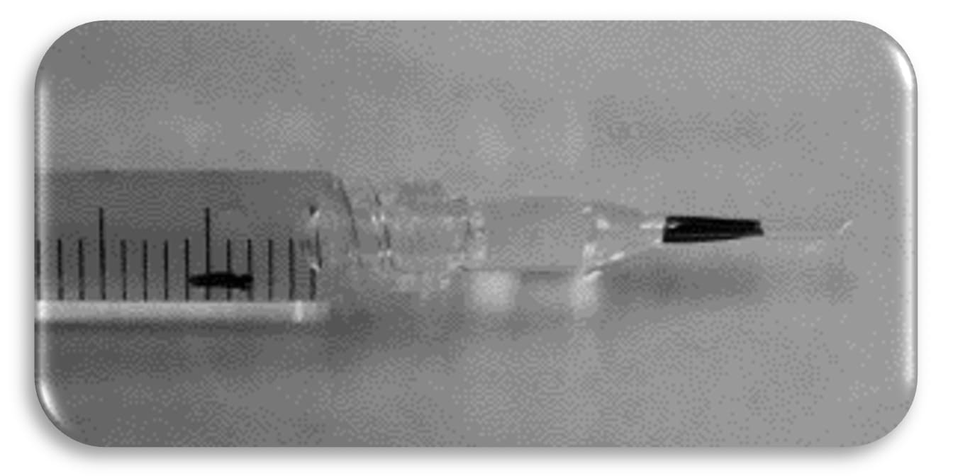 Figure 2: A PVEK graft preloaded in a glass injector.