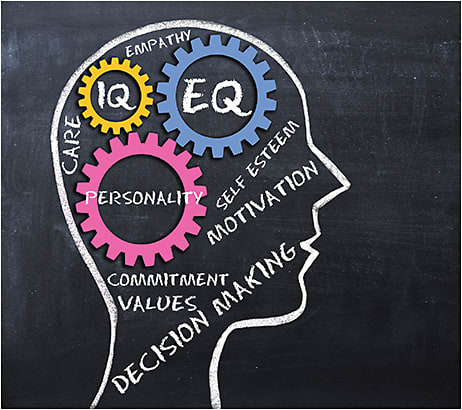 AI825 / SHUTTERSTOCK.COM