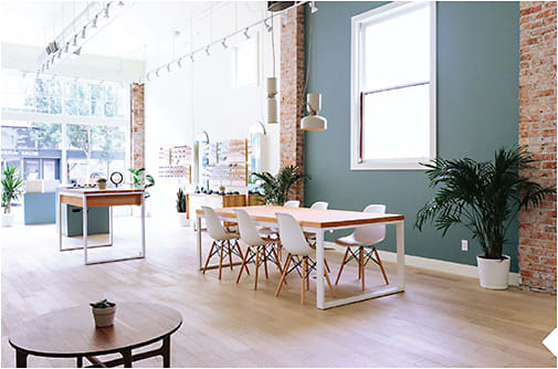 Sunlight fills the interior of an Ollie Quinn store