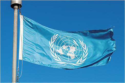 mbruxelle/stock.adobe.com