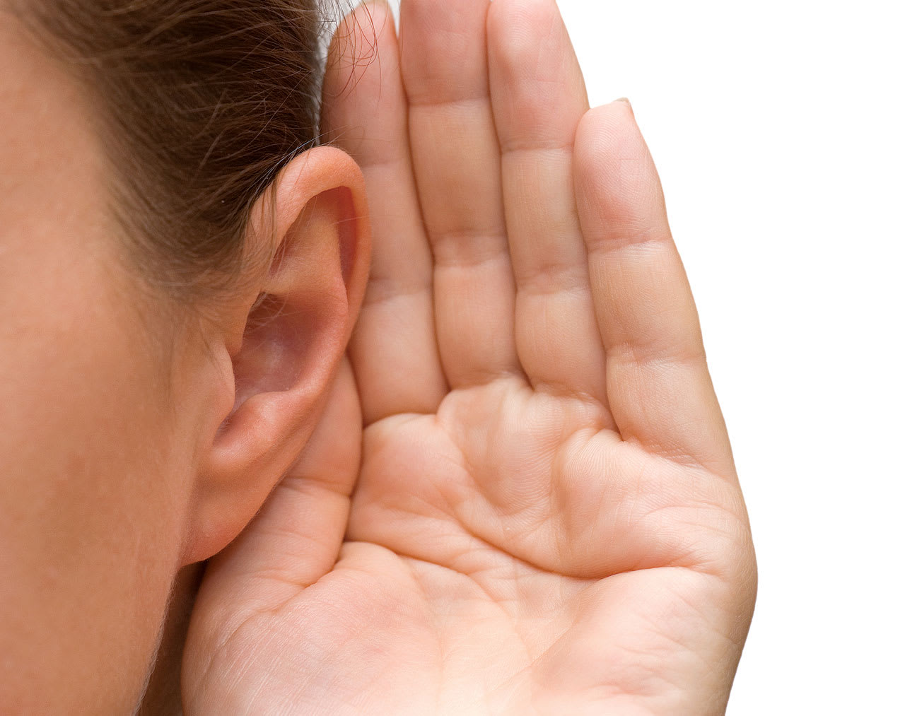 Photo courtesy: AdobeStock/Vladimir Voronin