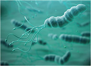 H. pylori has been observed in glaucoma patients.Maksym Yemelyanov/stock.adobe.com