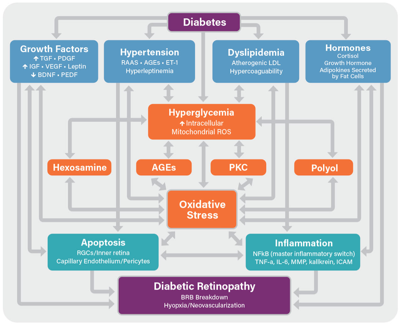 Figure 1. Adapted from Chous AP, Richer SP, Gerson JD, Kowluru RA. The Diabetes Visual Function Supplement Study (DiVFuSS). Br J Ophthalmol. 2016 Feb;100(2):227-34. doi: 10.1136/bjophthalmol-2014-306534. (Photo courtesy: Dr. Chous)