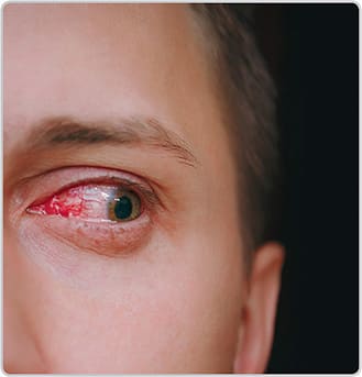 Image courtesy of ViDi Studio/stock.adobe.com