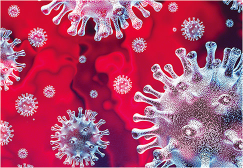 freshidea /stock.adobe.com