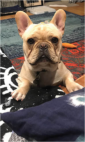 1 Create an inspiring caption that loops in your outer ECP, such as: “That look when you’re begging not to get your eyes dilated.”