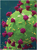 The Covid-19 &amp;#x2B; ECPs Focus Group Study Wave #3 survey group included 88% optometrists, 9% opticians, and 3% other.