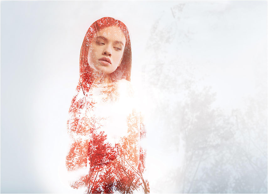 DMYTRO ZINKEVYCH / SHUTTERSTOCK.COM