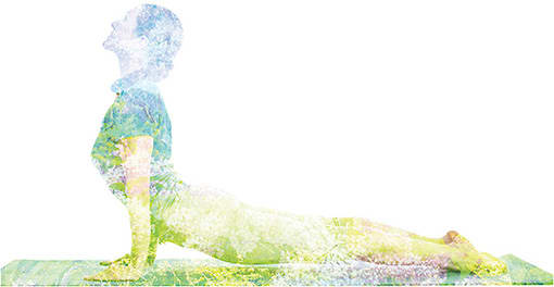 DR TRAVEL PHOTO AND VIDEO / SHUTTERSTOCK.COM