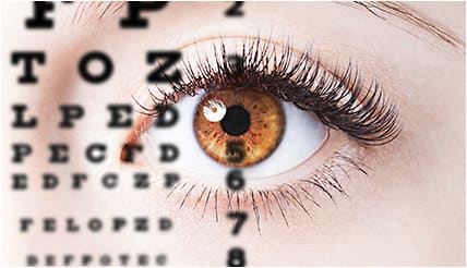 ROBERT_S / SHUTTERSTOCK.COM