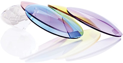 My Good Images /Shutterstock.com