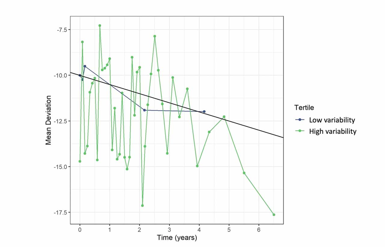 Figure. Two simulated patients with the same baseline mean deviation and same rate of progression. More testing is required for the patient with high variability (green) than for the patient with low variability (blue).