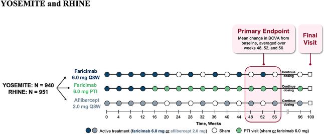 Yosemite/Rhine trial design where patients were randomized 1:1:1 to the three treatment arms.15 Image courtesy: Genentech