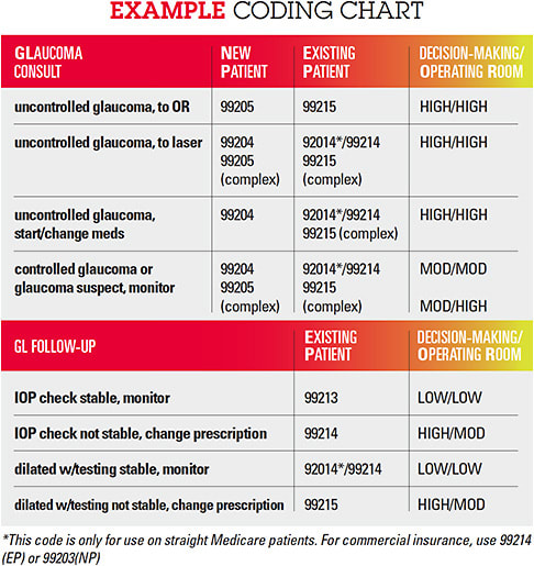 Adapted from AMA E/M coding guidelines.