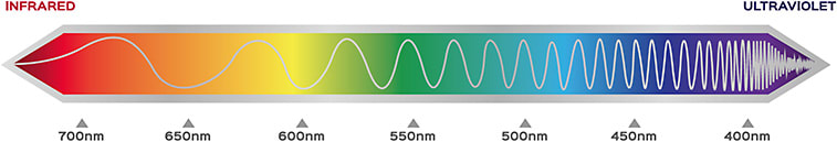 gritsalak/stock.adobe.com