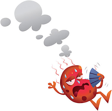 Mark Stay/stock.adobe.com