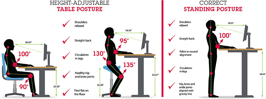 Good posture can help reduce stress and strain, while sitting or standing at workstations. CG Bear/stock.adobe.com