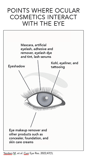 Points where cosmetics interact with the eye.