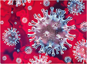 Coronavirus up close