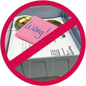 Photo courtesy of Dr. Koetting.