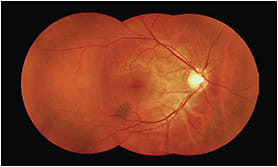 IMAGE: Vivicon photo montage