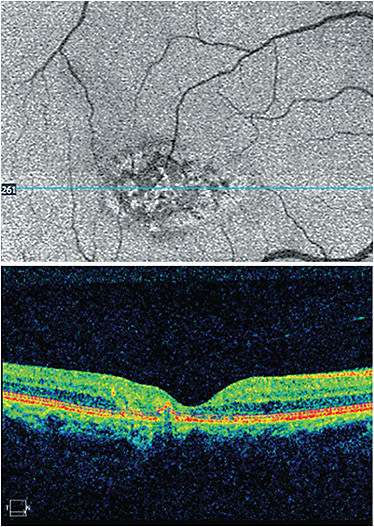 Images courtesy of Dr. Barclay.