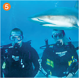 5. Dr. Reynolds and son Patrick getting photo bombed by a shark. Eek.
Photo: Courtesy of Dr. William Reynolds.