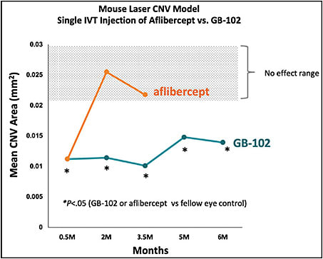 Figure 4. There is preclinical evidence of 6-month durability from a single intravitreal dose of GB-102. This plot shows results from a mouse laser choroidal neovascularization model of a intravitreal injection of aflibercept vs GB-102.