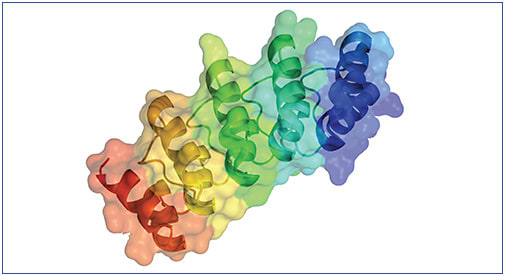 Figure 1. Example of the structure of a DARPin® molecule. The three key properties that make DARPin® molecules candidates for a broad range of therapeutic applications are high binding affinity, a molar dose that can be engineered, and the ability to customize for pharmacokinetics, multi-specifics, and drug conjugates.4,6