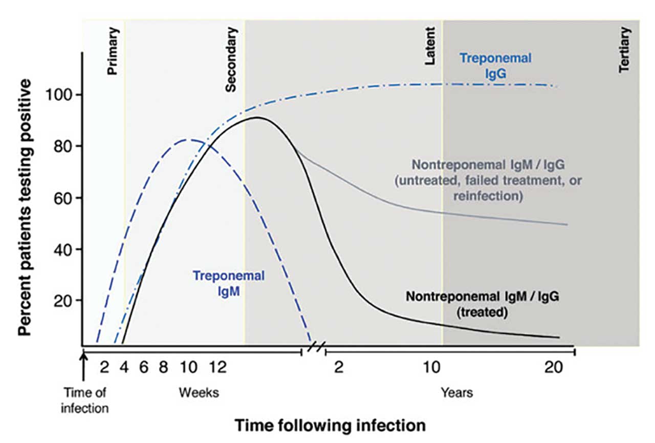 Figure 2. Percent of patients with syphilis with positive serologies over time. Graph reprinted from www.cdc.gov.6