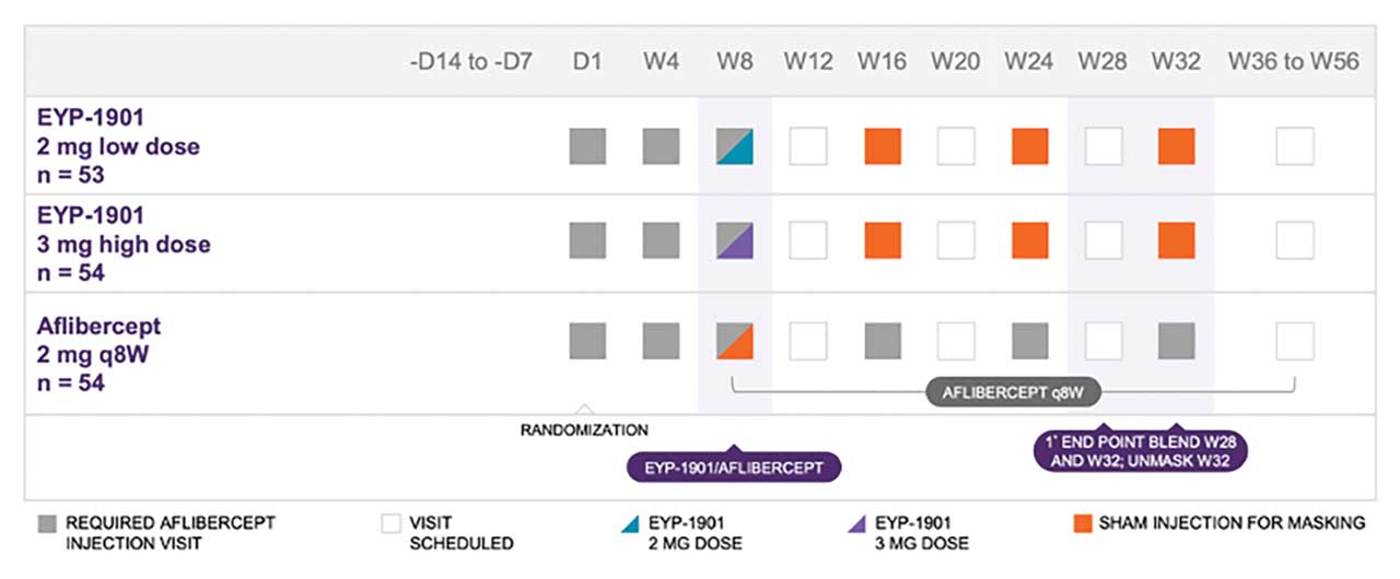 Figure 2.  The clinical trial design for the EyePoint Pharmaceuticals tyrosine kinase inhibitor EYP-1901.