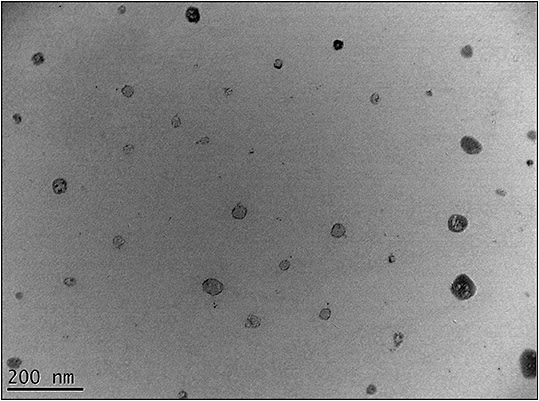 Figure 3. Electron micrograph of emulsified oil droplets. Each small droplet is coated in lipid, preventing the droplets from coalescing to form a larger bubble.