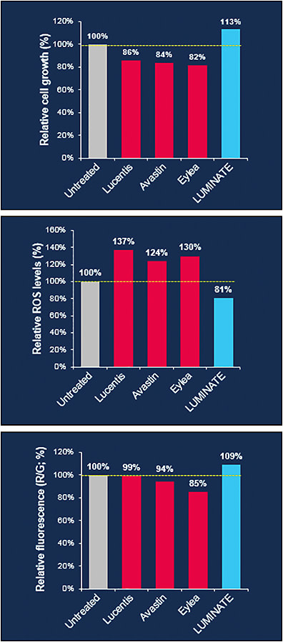 Figure 2. In vitro assessment of cell growth, reactive oxygen species, and fluorescence in retinal Muller cells treated with anti-VEGF or risuteganib. Anti-VEGF-treated Muller cells have inferior outcomes compared to untreated cells, whereas risuteganib-treated cells show superior outcomes in improving mitochondrial health.9
