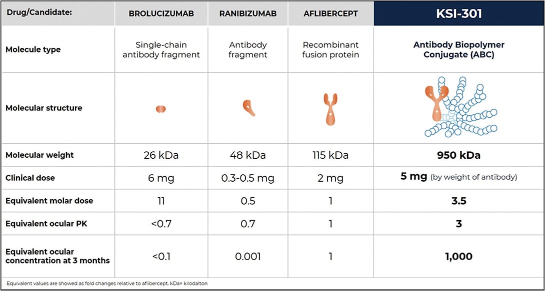 Figure 1. The molecular properties of KSI-301 (Kodiak Sciences).