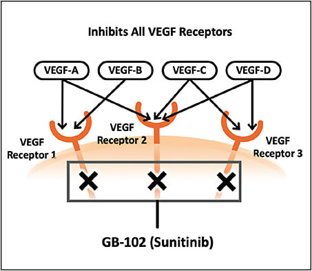 Figure 2. Sunitinib malate is a potent pan-VEGF-receptor inhibitor and neuroprotectant.