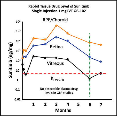 Figure 3. There is preclinical evidence of 6-month durability from a single intravitreal dose of GB-102. This plot shows the level of sunitinib in rabbit tissue after a single intravitreal injection of 1 mg GB-102.