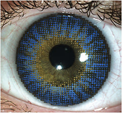 Figure 1. Using a molded lens creation process, compatible pigment is sandwiched within the polymer to completely encase the pigment molecules, resulting in a smooth front surface.